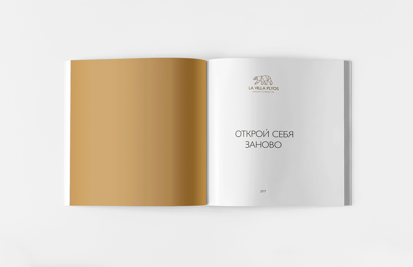 Запуск оздоровительного комплекса «Вилла Плес»