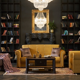 Targeted promotion of Tsvet Divanov furniture company