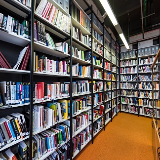 Universal University